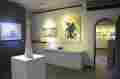 Galleria Web Art